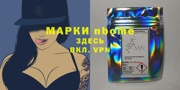 гидра Аркадак