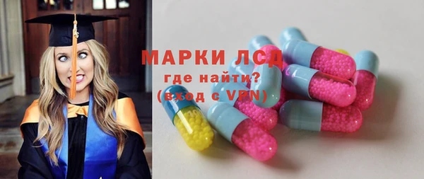 гидра Аркадак