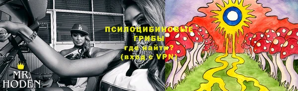 бошки Арсеньев