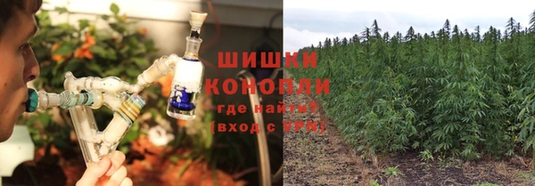 гидра Аркадак