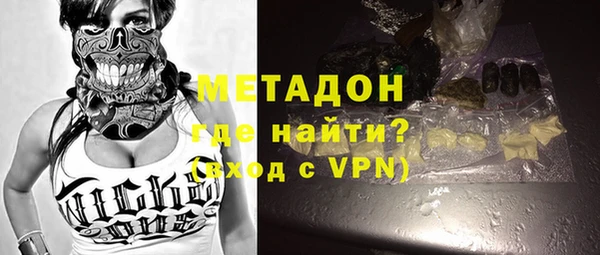 шишки Няндома